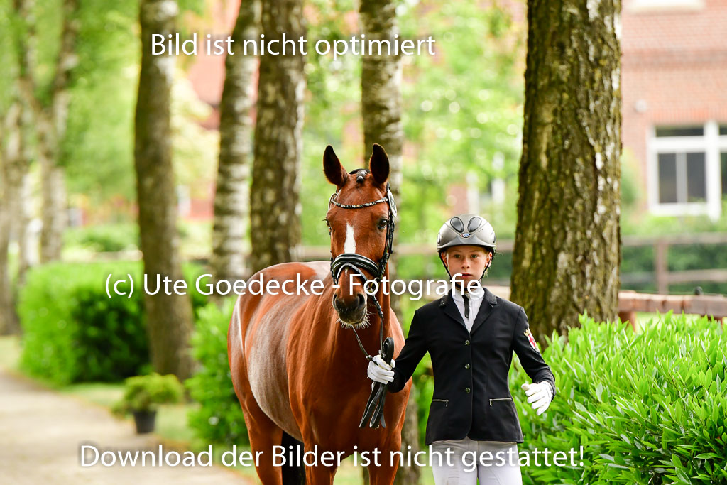 Goldene Schärpe Ponys in Löningen 4+5.6.22 | 05062022 Vormustern_255