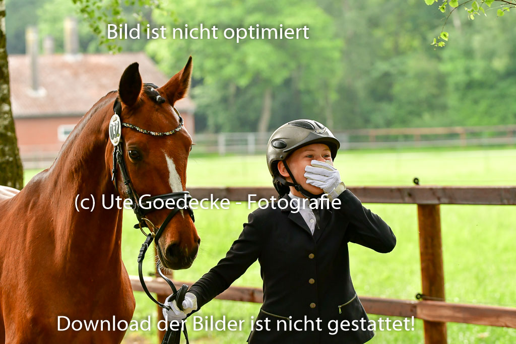 Goldene Schärpe Ponys in Löningen 4+5.6.22 | 05062022 Vormustern_259
