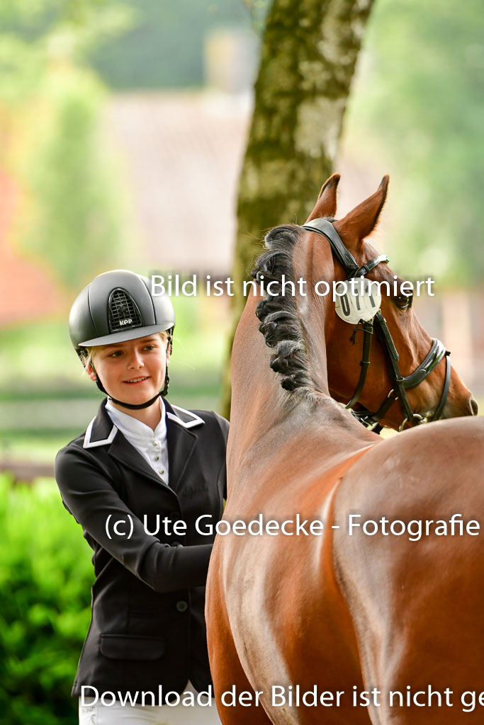 Goldene Schärpe Ponys in Löningen 4+5.6.22 | 05062022 Vormustern_261