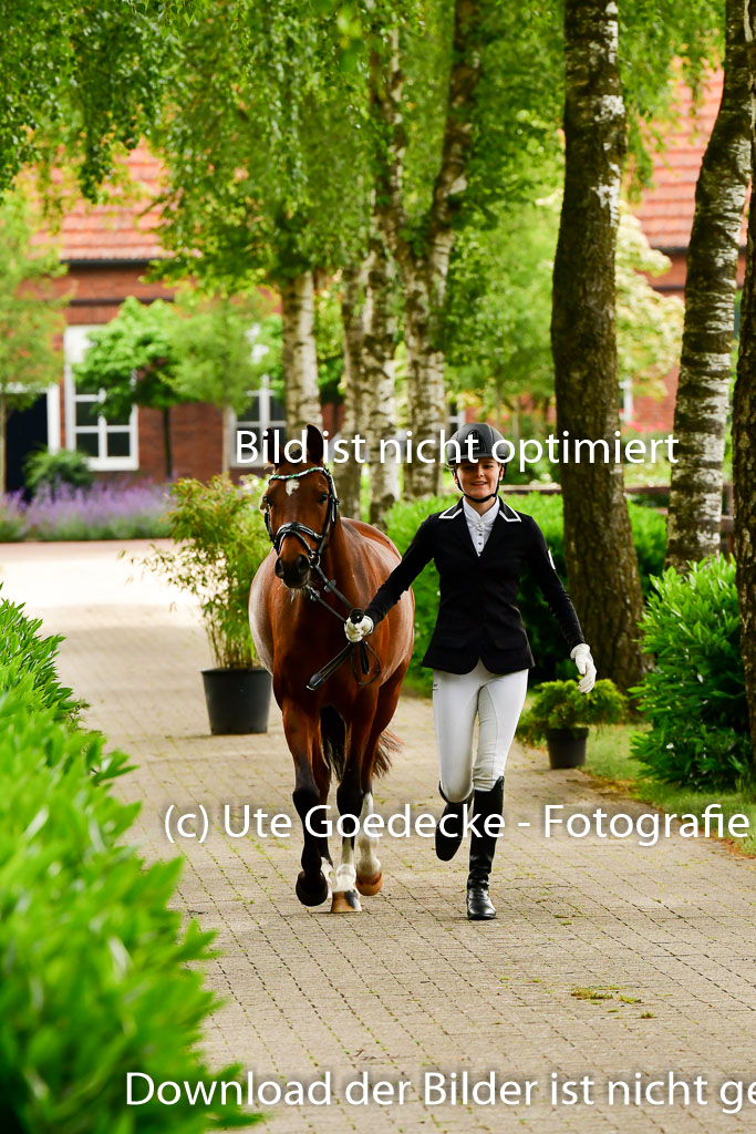 Goldene Schärpe Ponys in Löningen 4+5.6.22 | 05062022 Vormustern_263