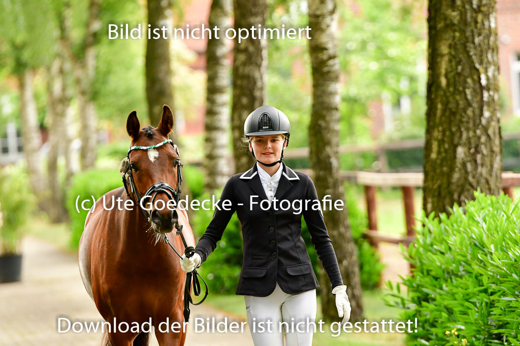 Goldene Schärpe Ponys in Löningen 4+5.6.22 | 05062022 Vormustern_264