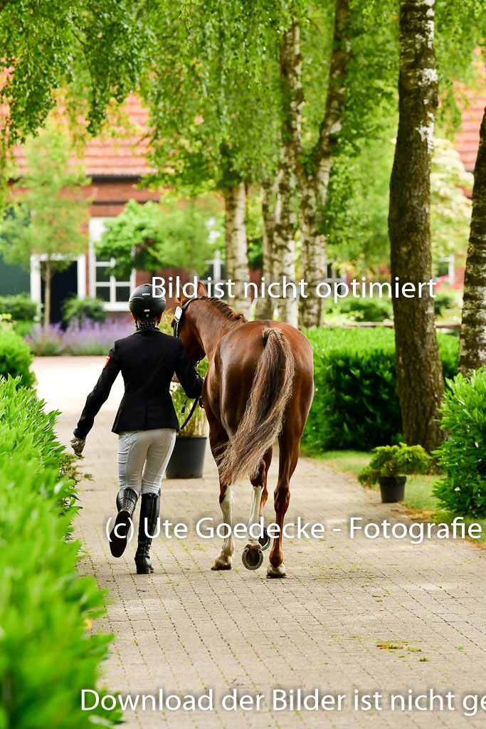 Goldene Schärpe Ponys in Löningen 4+5.6.22 | 05062022 Vormustern_269