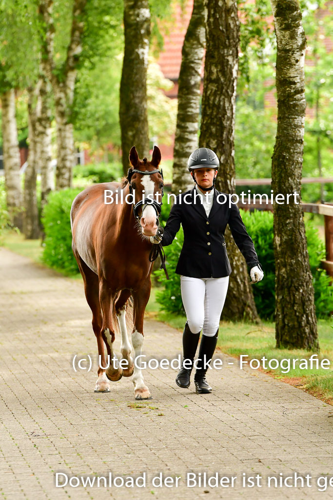Goldene Schärpe Ponys in Löningen 4+5.6.22 | 05062022 Vormustern_270
