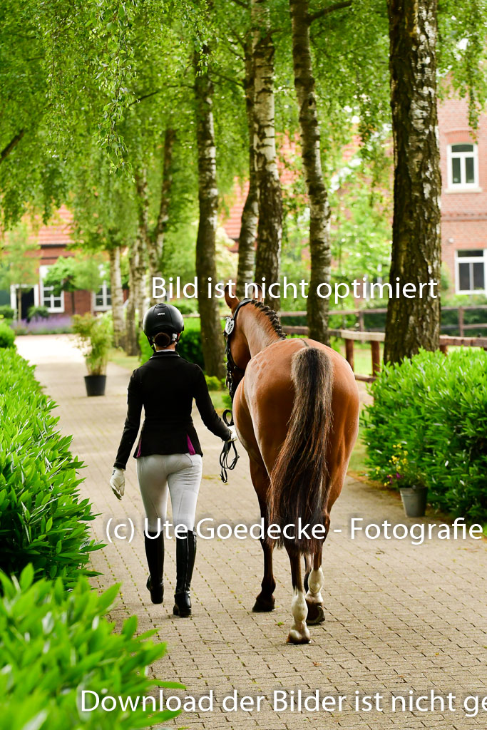 Goldene Schärpe Ponys in Löningen 4+5.6.22 | 05062022 Vormustern_276