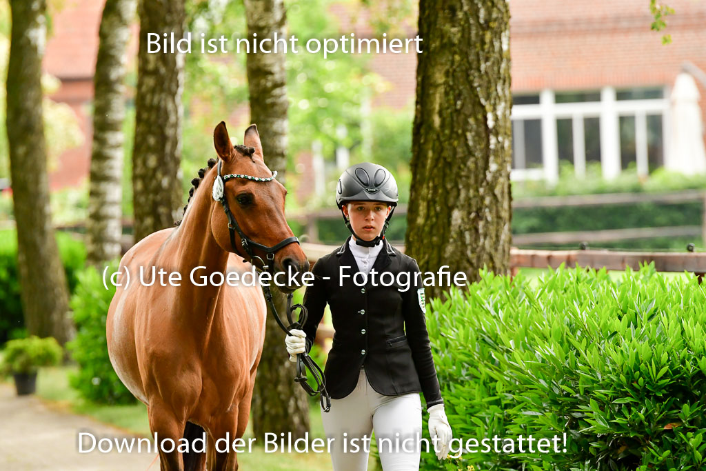 Goldene Schärpe Ponys in Löningen 4+5.6.22 | 05062022 Vormustern_278