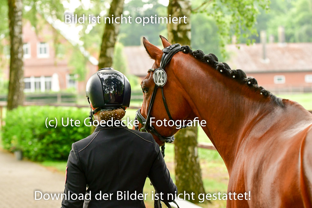 Goldene Schärpe Ponys in Löningen 4+5.6.22 | 05062022 Vormustern_282