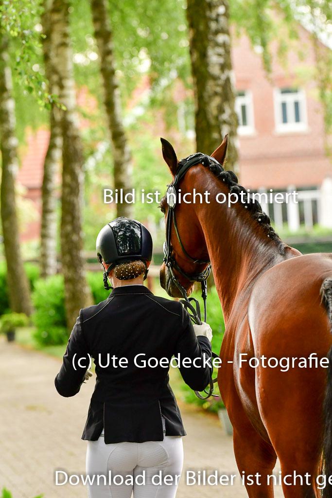 Goldene Schärpe Ponys in Löningen 4+5.6.22 | 05062022 Vormustern_283