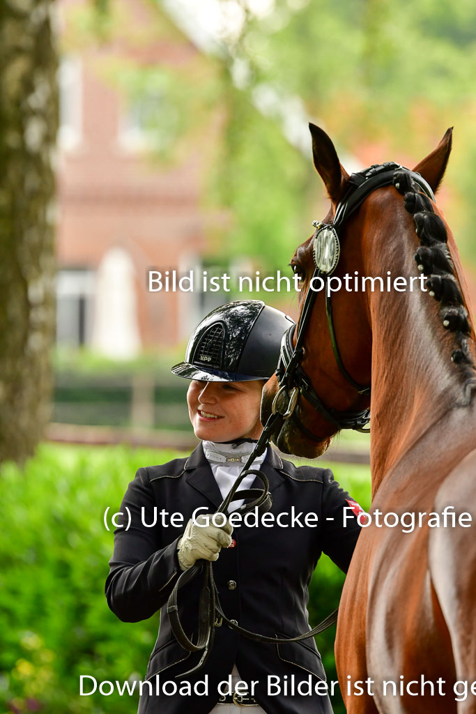 Goldene Schärpe Ponys in Löningen 4+5.6.22 | 05062022 Vormustern_284