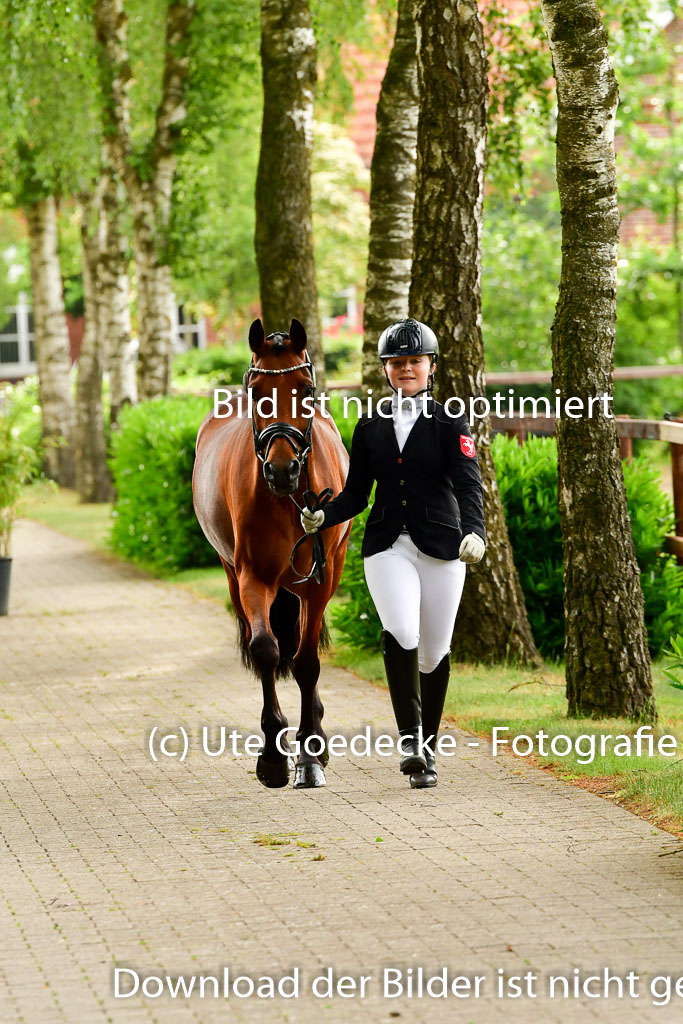 Goldene Schärpe Ponys in Löningen 4+5.6.22 | 05062022 Vormustern_287