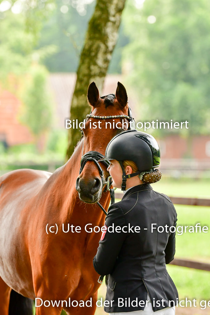 Goldene Schärpe Ponys in Löningen 4+5.6.22 | 05062022 Vormustern_289