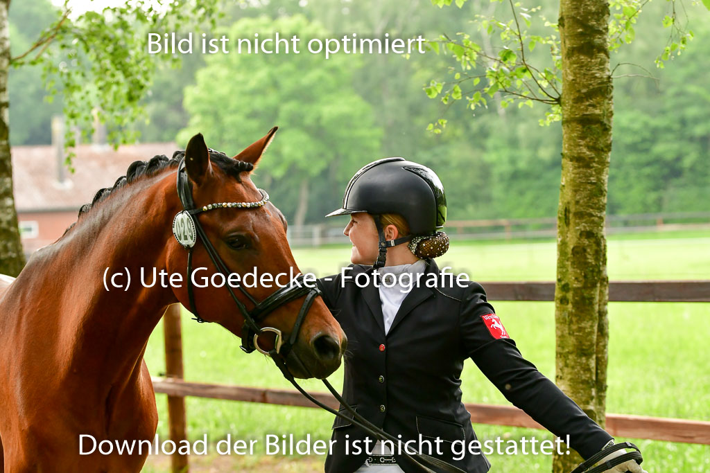 Goldene Schärpe Ponys in Löningen 4+5.6.22 | 05062022 Vormustern_291