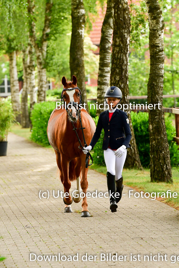 Goldene Schärpe Ponys in Löningen 4+5.6.22 | 05062022 Vormustern_298
