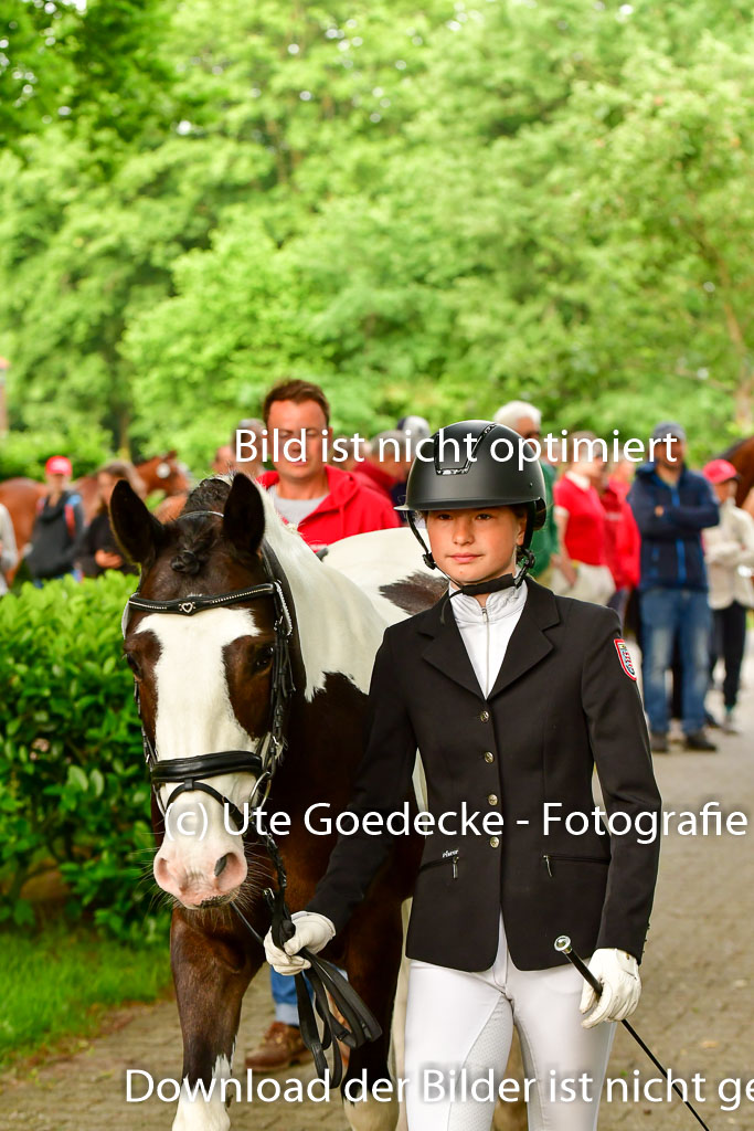 Goldene Schärpe Ponys in Löningen 4+5.6.22 | 05062022 Vormustern_301