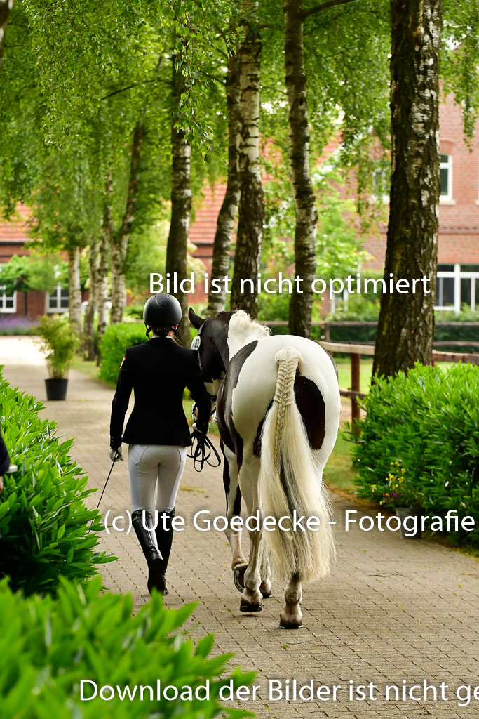 Goldene Schärpe Ponys in Löningen 4+5.6.22 | 05062022 Vormustern_302