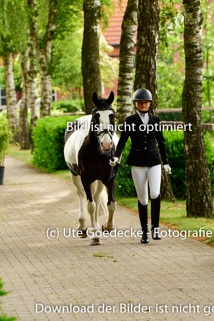 Goldene Schärpe Ponys in Löningen 4+5.6.22 | 05062022 Vormustern_303