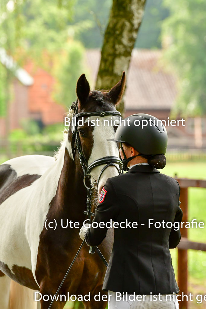Goldene Schärpe Ponys in Löningen 4+5.6.22 | 05062022 Vormustern_304