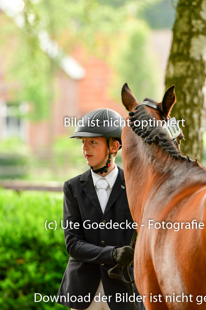 Goldene Schärpe Ponys in Löningen  4+5.6.22 | 05062022 Vormustern_305 