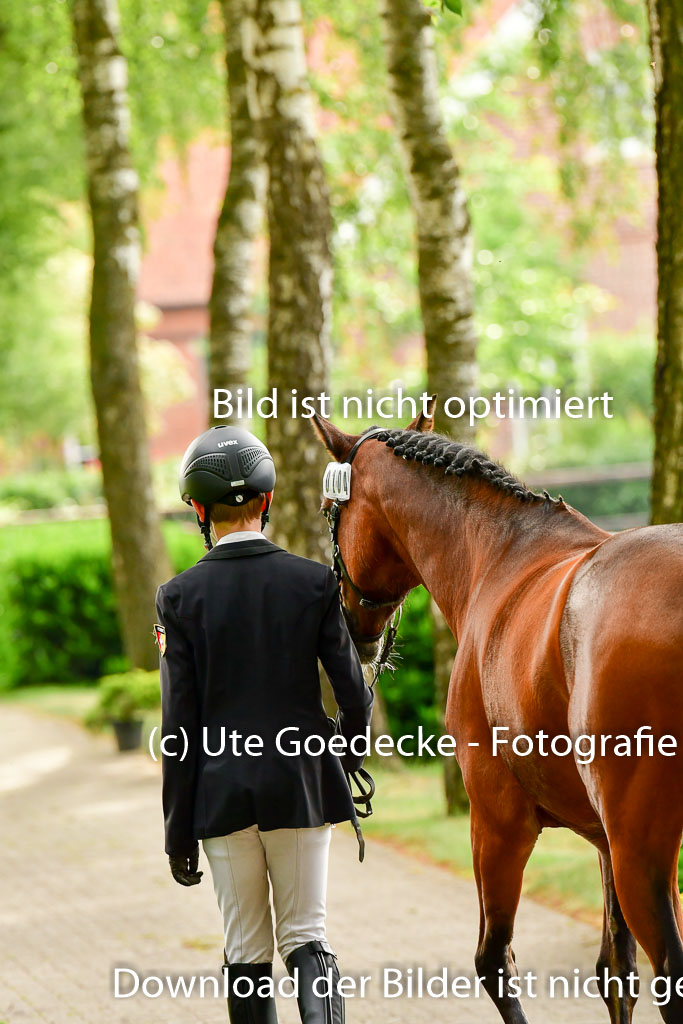 Goldene Schärpe Ponys in Löningen  4+5.6.22 | 05062022 Vormustern_306 