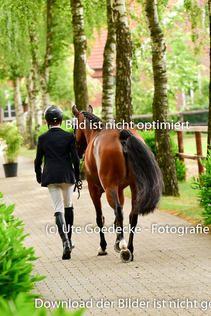Goldene Schärpe Ponys in Löningen 4+5.6.22 | 05062022 Vormustern_307