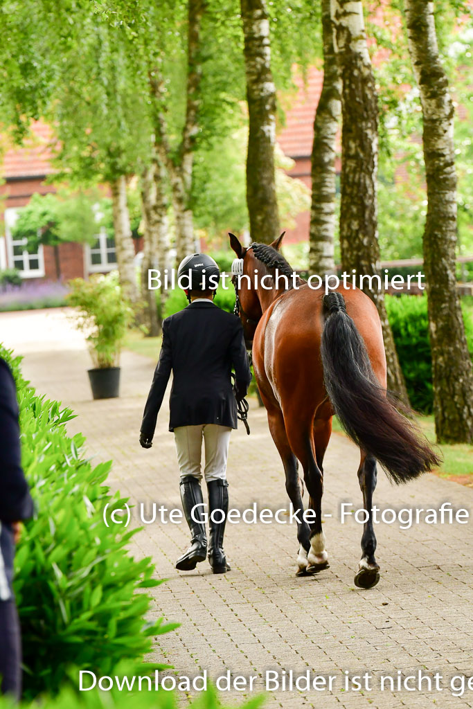 Goldene Schärpe Ponys in Löningen 4+5.6.22 | 05062022 Vormustern_308