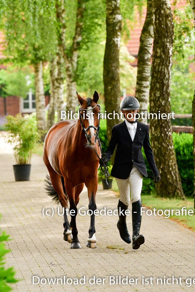 Goldene Schärpe Ponys in Löningen 4+5.6.22 | 05062022 Vormustern_309