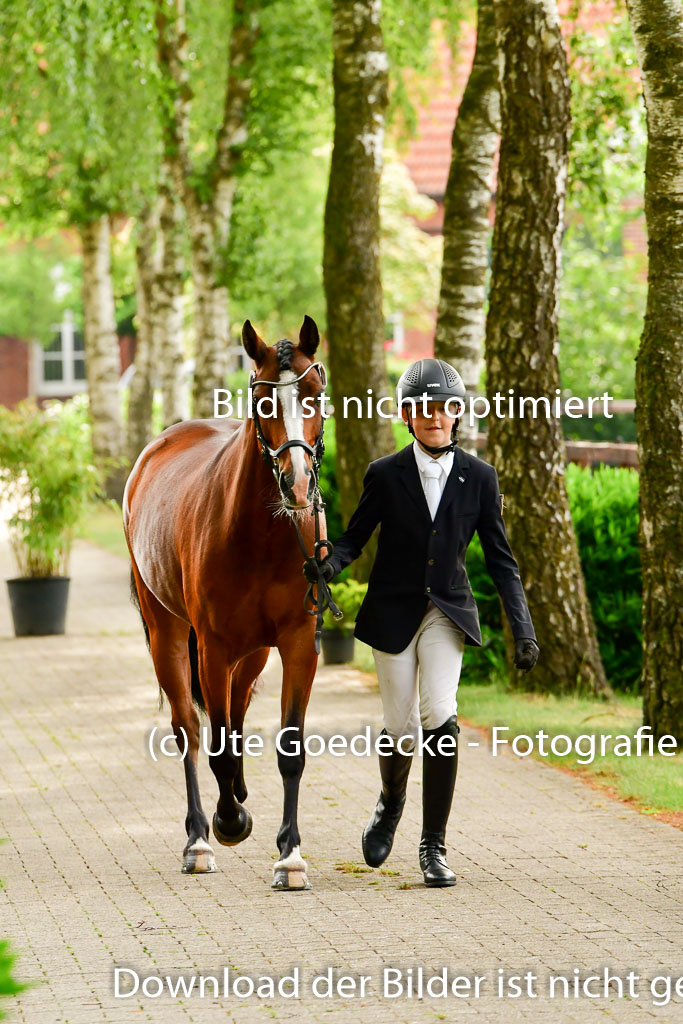 Goldene Schärpe Ponys in Löningen 4+5.6.22 | 05062022 Vormustern_310