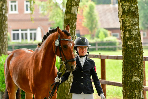Goldene Schärpe Ponys in Löningen  4+5.6.22 | 05062022 Vormustern 