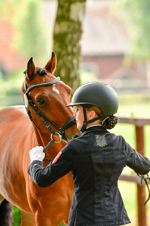 Goldene Schärpe Ponys in Löningen  4+5.6.22 | 05062022 Vormustern_002 