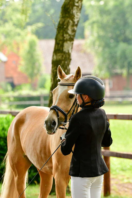 Goldene Schärpe Ponys in Löningen  4+5.6.22 | 05062022 Vormustern_008 