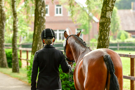 Goldene Schärpe Ponys in Löningen  4+5.6.22 | 05062022 Vormustern_009 