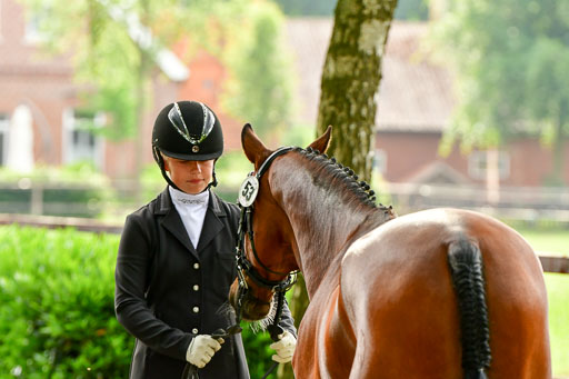 Goldene Schärpe Ponys in Löningen  4+5.6.22 | 05062022 Vormustern_010 