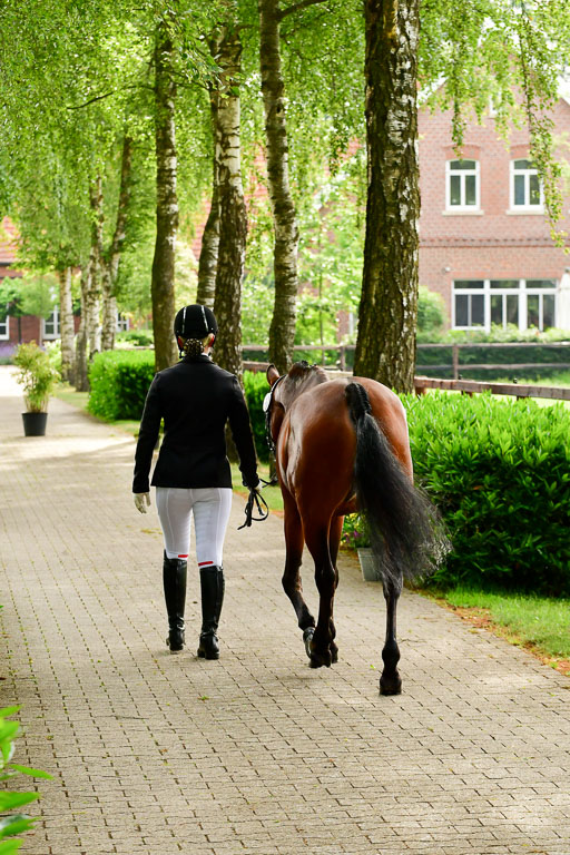 Goldene Schärpe Ponys in Löningen  4+5.6.22 | 05062022 Vormustern_011 