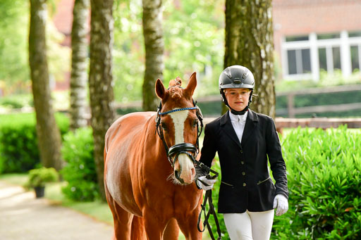Goldene Schärpe Ponys in Löningen  4+5.6.22 | 05062022 Vormustern_022 