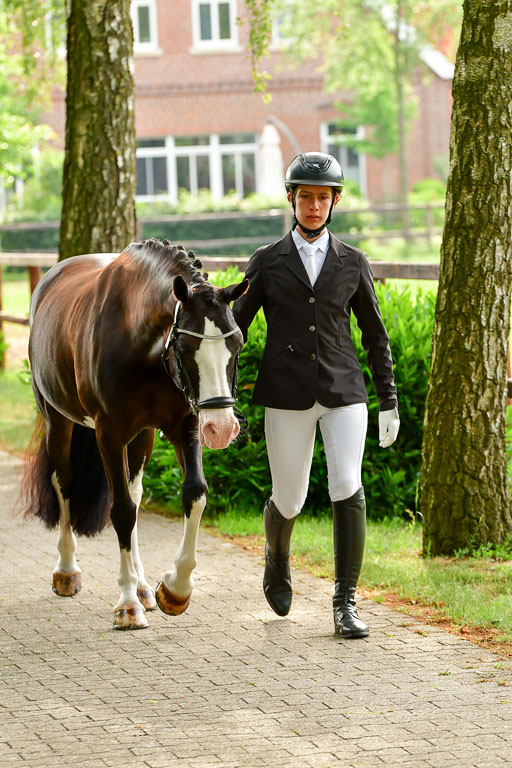 Goldene Schärpe Ponys in Löningen  4+5.6.22 | 05062022 Vormustern_027 