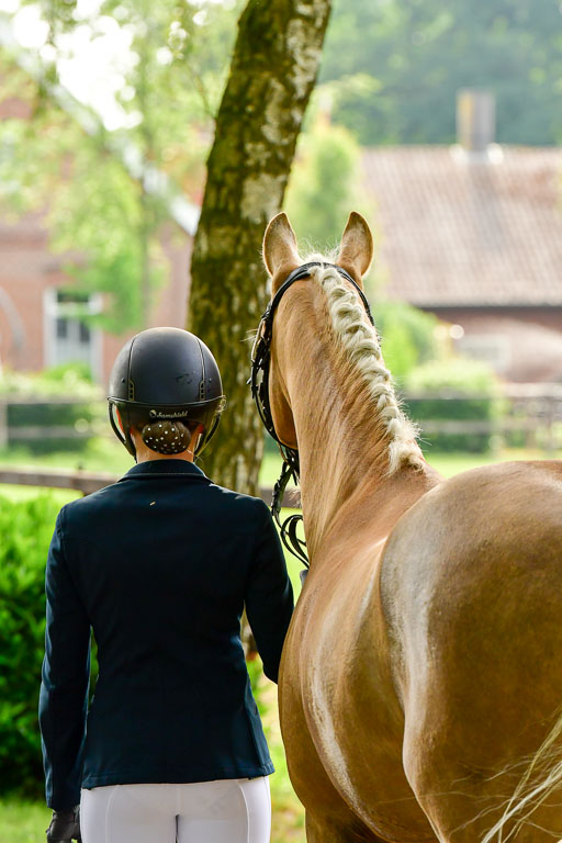 Goldene Schärpe Ponys in Löningen  4+5.6.22 | 05062022 Vormustern_029 