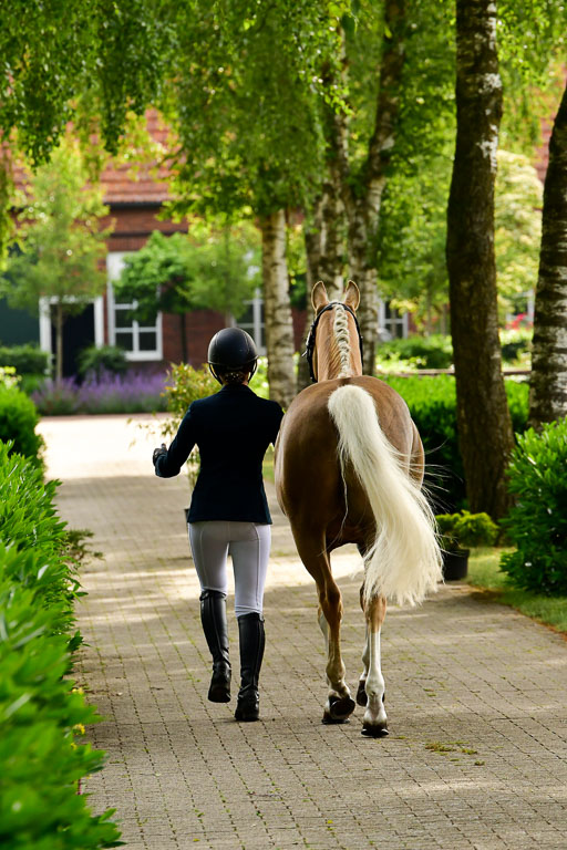 Goldene Schärpe Ponys in Löningen  4+5.6.22 | 05062022 Vormustern_032 