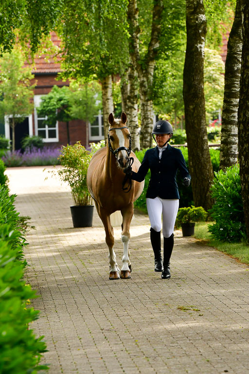 Goldene Schärpe Ponys in Löningen  4+5.6.22 | 05062022 Vormustern_033 