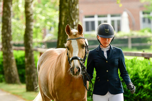 Goldene Schärpe Ponys in Löningen  4+5.6.22 | 05062022 Vormustern_034 