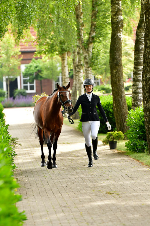 Goldene Schärpe Ponys in Löningen  4+5.6.22 | 05062022 Vormustern_039 