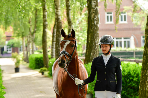 Goldene Schärpe Ponys in Löningen  4+5.6.22 | 05062022 Vormustern_041 