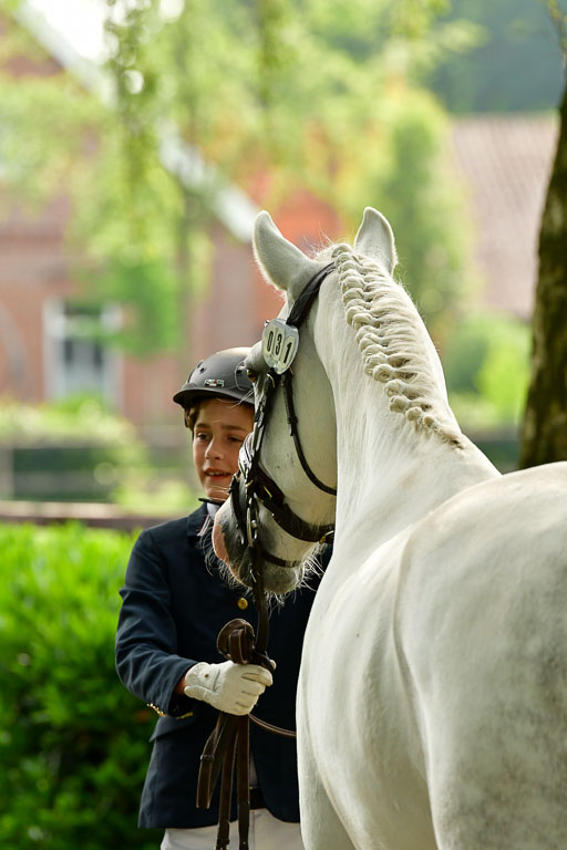 Goldene Schärpe Ponys in Löningen  4+5.6.22 | 05062022 Vormustern_045 