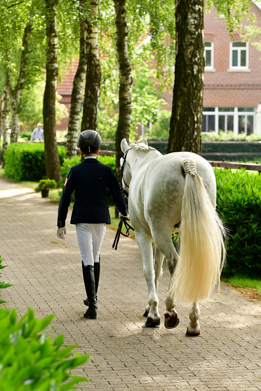 Goldene Schärpe Ponys in Löningen  4+5.6.22 | 05062022 Vormustern_046 