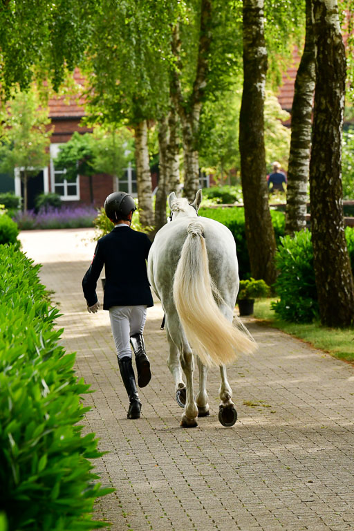 Goldene Schärpe Ponys in Löningen  4+5.6.22 | 05062022 Vormustern_047 