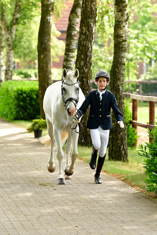 Goldene Schärpe Ponys in Löningen  4+5.6.22 | 05062022 Vormustern_048 