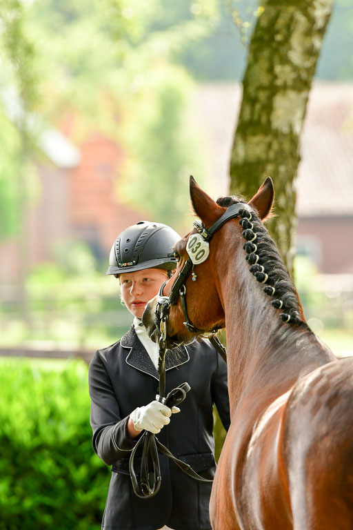 Goldene Schärpe Ponys in Löningen  4+5.6.22 | 05062022 Vormustern_053 