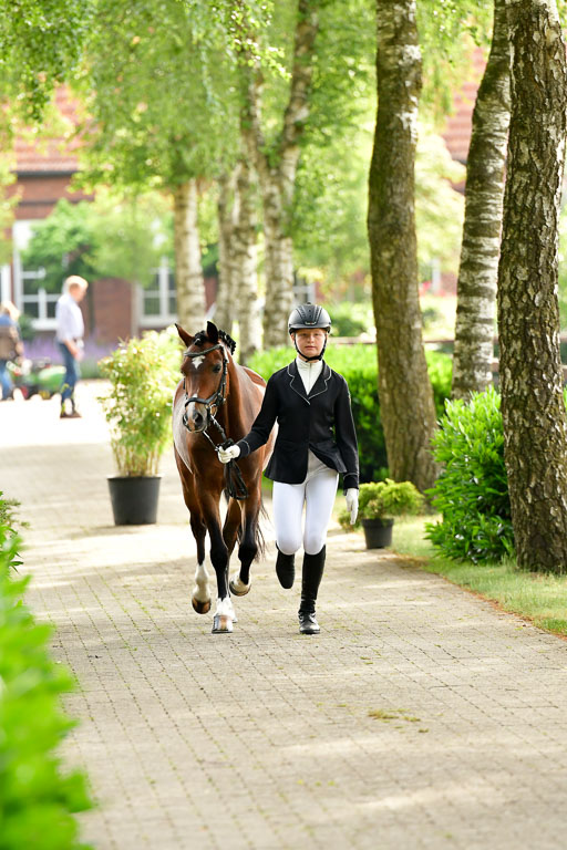 Goldene Schärpe Ponys in Löningen  4+5.6.22 | 05062022 Vormustern_055 
