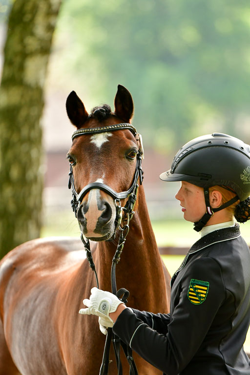 Goldene Schärpe Ponys in Löningen  4+5.6.22 | 05062022 Vormustern_056 