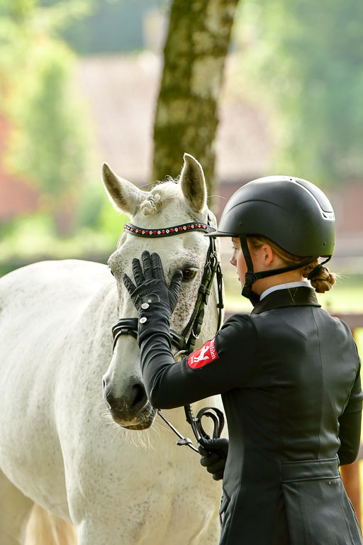 Goldene Schärpe Ponys in Löningen  4+5.6.22 | 05062022 Vormustern_060 