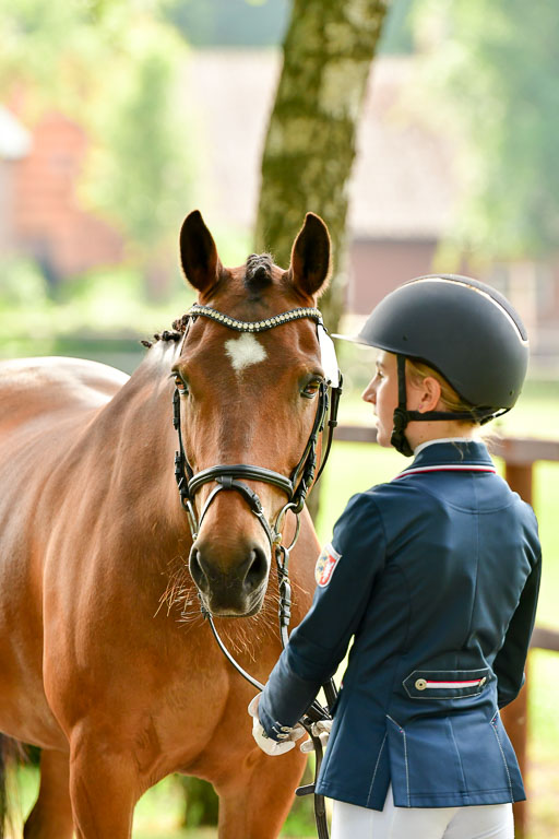 Goldene Schärpe Ponys in Löningen  4+5.6.22 | 05062022 Vormustern_066 