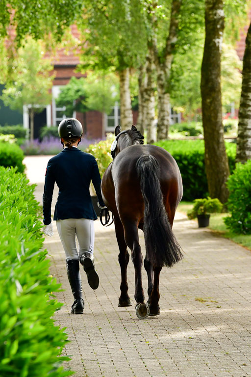 Goldene Schärpe Ponys in Löningen  4+5.6.22 | 05062022 Vormustern_068 